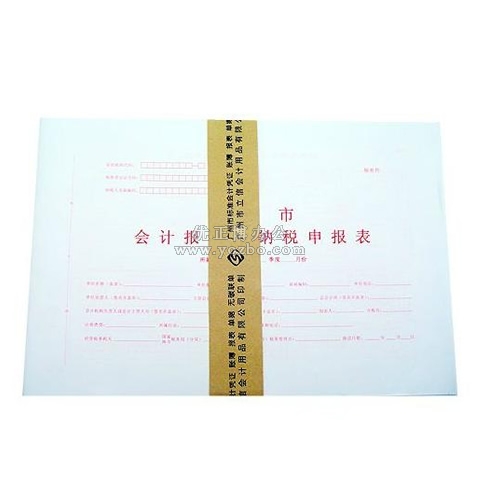 立信 廣州市會(huì)計(jì)報(bào)表及納稅申報(bào)表封面(A3)*30張