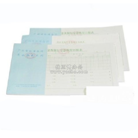 立信 現(xiàn)金及銀行存款收付日報表 24K/50頁