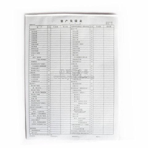 立信 資產(chǎn)負(fù)債表 8K/50頁