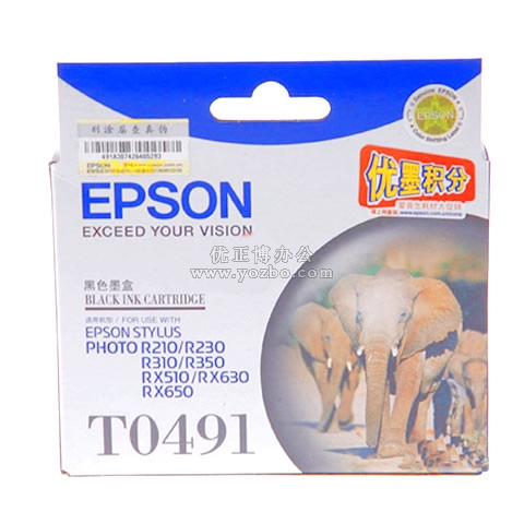 愛(ài)普生 T0491 黑色墨盒 C13T049180BD
