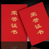 榮譽(yù)證書 89直式 絨面發(fā)泡
