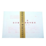 立信 廣州市會(huì)計(jì)報(bào)表及納稅申報(bào)表封面(A3)*30張